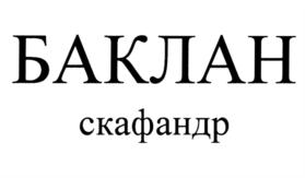 Товарный знак №874229, принадлежит организации Акционерное общество "Научно-производственное предприятие "Звезда" имени академика Г.И. Северина", ОГРН 1025003219515, ИНН 5027030107