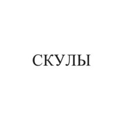 Товарный знак №875103, принадлежит организации Общество с ограниченной ответственностью "Пилки", ОГРН 1187847073127, ИНН 7806299808