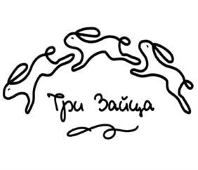 Товарный знак №877466, принадлежит ИП Долгополова Светлана Вадимовна, ОГРНИП 315392600004690, ИНН 222403657880