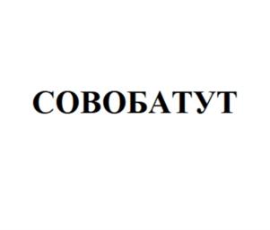 Товарный знак №878152, принадлежит организации Общество с ограниченной ответственностью «Сова-Нянька», ОГРН 1157847241650, ИНН 7804270070