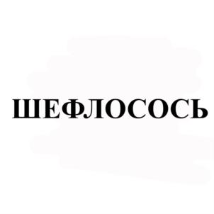 Товарный знак №878630, принадлежит ИП Синякова Евгения Николаевна, ОГРНИП 318784700299055, ИНН 540527190500