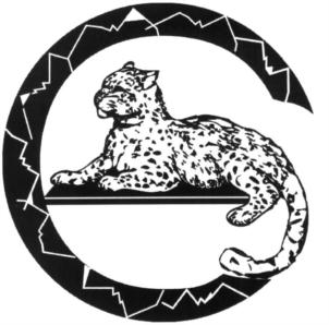 Товарный знак №878699, принадлежит организации Общество с ограниченной ответственностью «ДАЙРАН», ОГРН 1141513000892, ИНН 1513046933