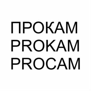 Товарный знак №878780, принадлежит организации Общество с ограниченной ответственностью "ПРОКАМ ТЛТ", ОГРН 1206300053772, ИНН 6382082010