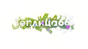 Товарный знак №878890, принадлежит организации Общество с ограниченной ответственностью "ГЕРМЕС СЕРВИС", ОГРН 1106671015439, ИНН 6671329757