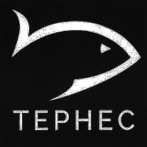 Товарный знак №880742, принадлежит организации Общество с ограниченной ответственностью "ТЕРНЕС", ОГРН 1215100005955, ИНН 5190089099