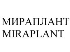 Товарный знак №882507, принадлежит организации Общество с ограниченной ответственностью "ЭВЕРЕСТ", ОГРН 1195027018108, ИНН 5027279278