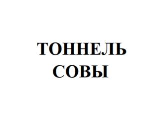 Товарный знак №882715, принадлежит организации Общество с ограниченной ответственностью «Сова-Нянька», ОГРН 1157847241650, ИНН 7804270070