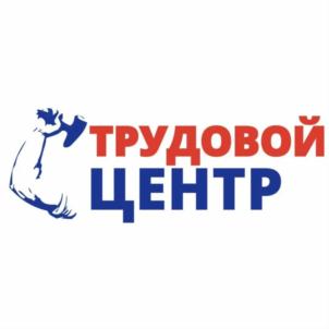Товарный знак №882763, принадлежит организации Общество с ограниченной ответственностью "ТОР-СТРОЙ", ОГРН 1193926012202, ИНН 3906383277