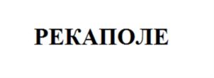 Товарный знак №882995, принадлежит организации Общество с ограниченной ответственностью "ПИНАО", ОГРН 1207700297551, ИНН 7707442253