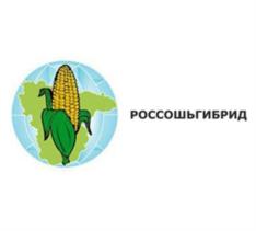 Товарный знак №883181, принадлежит организации Общество с ограниченной ответственностью «Россошьгибрид», ОГРН 1093627001544, ИНН 3627025970