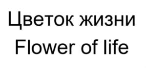 Товарный знак №884100, принадлежит организации Общество с ограниченной ответственностью «Аромадара», ОГРН 1197746289234, ИНН 7702468025