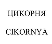 Товарный знак №885909, принадлежит ИП Жиурис Артур Витович, ОГРНИП 315784700122851, ИНН 110312665384