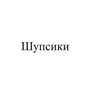 Товарный знак №886859, принадлежит ИП Маринцев Валерий Валерьевич, ОГРНИП 312784727600172, ИНН 110305568446