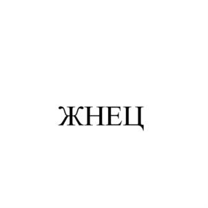 Товарный знак №893960, принадлежит организации Общество с ограниченной ответственностью "СтанкоЛес-Трейд", ОГРН 1144345016420, ИНН 4345390535
