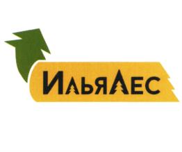 Товарный знак №895102, принадлежит организации ОБЩЕСТВО С ОГРАНИЧЕННОЙ ОТВЕТСТВЕННОСТЬЮ "ИЛЬЯ-ЛЕС", ОГРН 1165047056976, ИНН 5047186261