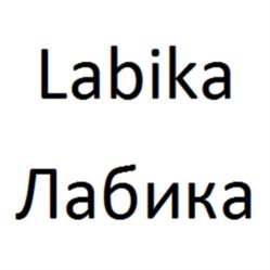 Товарный знак №895142, принадлежит организации Общество с ограниченной ответственностью "ЛАБИКА", ОГРН 1217700440132, ИНН 7727473080