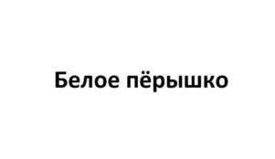Товарный знак №896581, принадлежит ИП Давлеев Альберт Дамирович, ОГРНИП 320774600395091, ИНН 773414083339