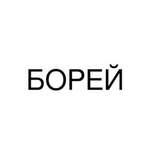 Товарный знак №898111, принадлежит организации Общество с ограниченной ответственностью "БОРЕЙ", ОГРН 1191326002097, ИНН 1328017470