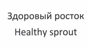 Товарный знак №899014, принадлежит организации Общество с ограниченной ответственностью "Шелдонфарма", ОГРН 1127847053180, ИНН 7814525419