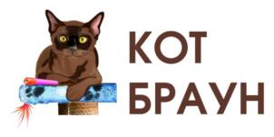 Товарный знак №899910, принадлежит ИП Майорова Ксения Сергеевна, ОГРНИП 320508100362776, ИНН 525102918814