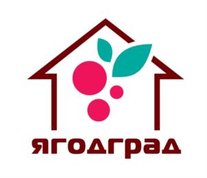 Товарный знак №900781, принадлежит организации Общество с ограниченной ответственностью "ЯГОДГРАД", ОГРН 1227200003315, ИНН 7220100596