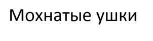 Товарный знак №906186, принадлежит организации Общество с ограниченной ответственностью ПКФ  «МОХНАТЫЕ УШКИ», ОГРН 5137746148337, ИНН 7727821429