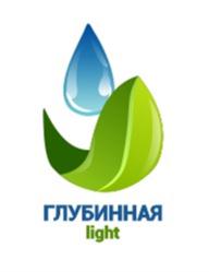 Товарный знак №909307, принадлежит организации Общество с ограниченной ответственностью "А-Групп", ОГРН 1122801007130, ИНН 2801174740