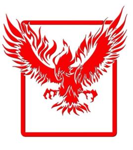 Товарный знак №910260, принадлежит организации ОБЩЕСТВО С ОГРАНИЧЕННОЙ ОТВЕТСТВЕННОСТЬЮ "САЛЮТ СЕРВИС КМВ", ОГРН 1222600005572, ИНН 2618025033