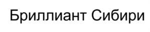 Товарный знак №910554, принадлежит организации Общество с ограниченной ответственностью "БРИЛЛИАНТ СИБИРИ", ОГРН 1225400040854, ИНН 5473006248