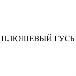 Товарный знак №911074, принадлежит ИП Бушуев Евгений Евгеньевич, ОГРНИП 320595800069461, ИНН 590773668170