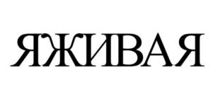 Товарный знак №911279, принадлежит ИП Хохлова Светлана Васильевна, ОГРНИП 319392600052469, ИНН 391201399946