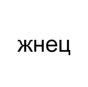 Товарный знак №911562, принадлежит организации ОБЩЕСТВО С ОГРАНИЧЕННОЙ ОТВЕТСТВЕННОСТЬЮ "АГРОГАЛАКТИКА СИНТЕЗ", ОГРН 1167746113413, ИНН 7708280703