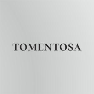 Товарный знак №911685, принадлежит организации ОБЩЕСТВО С ОГРАНИЧЕННОЙ ОТВЕТСТВЕННОСТЬЮ "ОНИКС", ОГРН 1227700375320, ИНН 9728067208