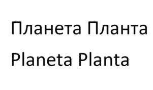 Товарный знак №912636, принадлежит ИП Кириллова Ольга Борисовна, ОГРНИП 320774600537790, ИНН 490900763317