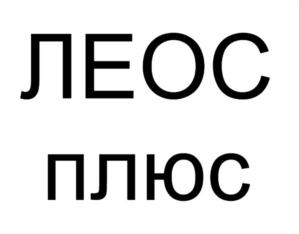 Товарный знак №913630, принадлежит ИП Леонов Станислав Александрович, ОГРНИП 319774600513910, ИНН 771387823588