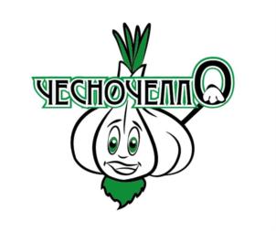 Товарный знак №915781, принадлежит организации Общество с ограниченной ответственностью "ВекторЭко", ОГРН 1205000021082, ИНН 5017122800