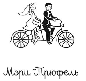 Товарный знак №915869, принадлежит организации Общество с ограниченной ответственностью "МЭРИ ТРЮФЕЛЬ", ОГРН 1177746295913, ИНН 7704400287