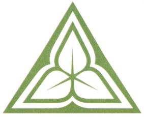 Товарный знак №915892, принадлежит организации Открытое акционерное общество "ИНСОЛАР-ИНВЕСТ", ОГРН 1027739254091, ИНН 7703053016