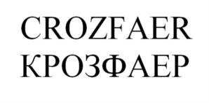 Товарный знак №917431, принадлежит организации Общество с ограниченной ответственностью "Завод строительных материалов", ОГРН 1222700008519, ИНН 2724249420