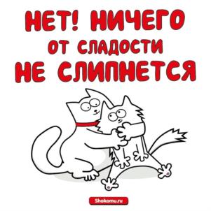 Товарный знак №917811, принадлежит ИП Богатенков Александр Иванович, ОГРНИП 304665829900067, ИНН 740200108736
