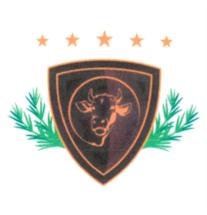 Товарный знак №917942, принадлежит ИП Данилов Сергей Геннадьевич, ОГРНИП 307263518700029, ИНН 410901163897