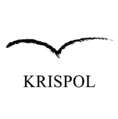 Товарный знак №918990, принадлежит ИП Полякова Кристина Юрьевна, ОГРНИП 318213000047216, ИНН 211230014717