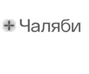 Товарный знак №919802, принадлежит ИП Чаляби Татьяна Азизовна, ОГРНИП 314344302200187, ИНН 344602041767