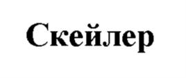 Товарный знак №920047, принадлежит организации Общество с ограниченной ответственностью "СКАЛА-Р", ОГРН 1217700023782, ИНН 9717098243