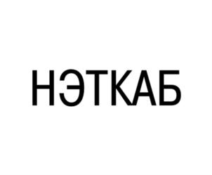 Товарный знак №920999, принадлежит организации Общество с ограниченной ответственностью "Камский кабель", ОГРН 1085904004779, ИНН 5904184047