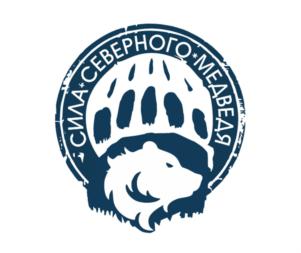 Товарный знак №923260, принадлежит организации Общество с ограниченной ответственностью «СОЮЗ», ОГРН 1207100014439, ИНН 7107137593