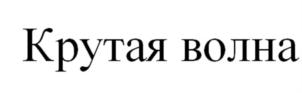 Товарный знак №923951, принадлежит организации Акционерное общество "Корсаковский Завод Пива и Напитков "Северная Звезда", ОГРН 1026500780558, ИНН 6504043759