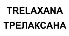 Товарный знак №925965, принадлежит организации Общество с ограниченной ответственностью "ТРЕЛАКС", ОГРН 5087746247199, ИНН 7714755610