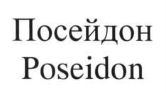 Товарный знак №925977, принадлежит организации Общество с ограниченной ответственностью "ПОСЕЙДОН ФИЛЬТР", ОГРН 1033600012962, ИНН 3662062484