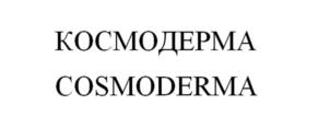 Товарный знак №926161, принадлежит организации Общество с ограниченной ответственностью «Р ЭНД Р КОСМЕТИКС», ОГРН 1225000089005, ИНН 5040180616